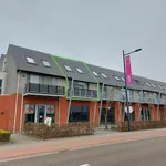 Huur 3 slaapkamer appartement van 120 m² in Pelt