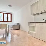 Rent 1 bedroom house of 35 m² in Milan