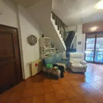 Rent 3 bedroom apartment of 100 m² in Roma