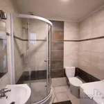 Rent 1 bedroom apartment of 30 m² in Návsí