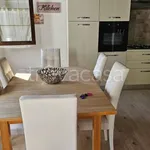 Rent 3 bedroom apartment of 90 m² in Padova