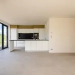 Huur 3 slaapkamer huis van 377 m² in Eeklo