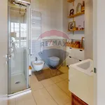 Rent 2 bedroom apartment of 45 m² in Milano