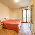 Rent 2 bedroom apartment of 44 m² in Pistoia