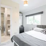 Rent a room in dublin