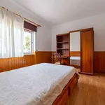 Rent a room in lisbon