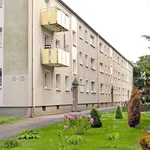 Rent 2 bedroom apartment of 42 m² in Duisburg