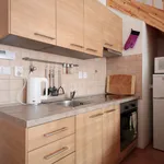 Rent 1 bedroom apartment of 40 m² in Capital City of Prague