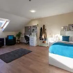 Rent 1 bedroom flat in Bangor