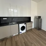 Rent 2 bedroom apartment of 39 m² in České Budějovice