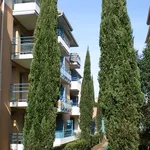 Rent 2 bedroom apartment of 33 m² in Toulouse