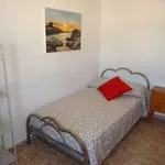 Rent a room in cordoba