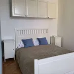 Rent 1 bedroom apartment in prague