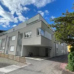 Rent 2 bedroom apartment of 47 m² in Graz