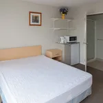 Rent 1 bedroom apartment in Christchurch