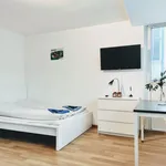 Rent 1 bedroom apartment of 25 m² in Dortmund