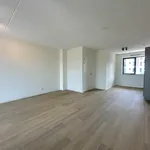 Huur 3 slaapkamer appartement van 90 m² in Binnenstad