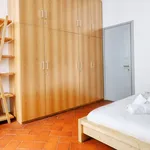 Rent 1 bedroom apartment in Milan