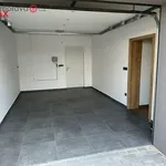 Rent 1 bedroom house in Ostrava