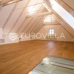 Rent 5 bedroom house of 350 m² in Zagreb