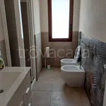 Rent 1 bedroom house of 55 m² in Marsala