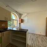 Rent 2 bedroom apartment of 1 m² in Liberec