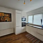 Rent 5 bedroom house of 121 m² in Haarlem