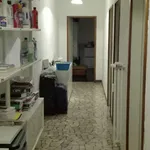 Rent a room in Bologna