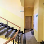 Rent 2 bedroom apartment of 52 m² in Prague