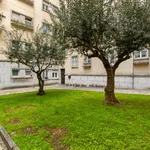 Rent 1 bedroom apartment in Lisbon