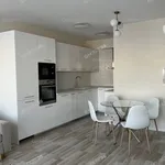 Rent 4 bedroom apartment of 70 m² in Kecskemét