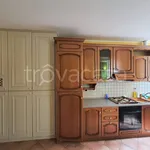 Rent 2 bedroom apartment of 50 m² in Biella