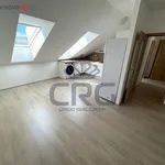 Rent 4 bedroom apartment of 92 m² in Jinačovice