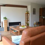 Rent 4 bedroom house of 518 m² in Gullegem