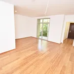 Rent 4 bedroom apartment of 100 m² in Chemnitz