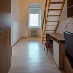 Rent 1 bedroom apartment in Brno