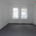 Rent 1 bedroom apartment of 40 m² in Děčín