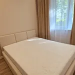 Rent 3 bedroom apartment of 65 m² in Częstochowa