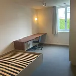 Rent 1 bedroom apartment in Leuven