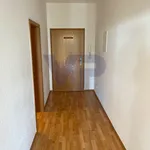 Rent 1 bedroom apartment of 49 m² in Brahmenau