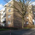 Rent 4 bedroom apartment of 81 m² in Detmold