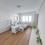 Rent 1 bedroom apartment of 12 m² in Olomouc