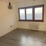 Rent 1 bedroom apartment of 28 m² in Ostrava