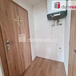 Pronajměte si 2 ložnic/e byt o rozloze 34 m² v Prague