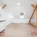 Pronajměte si 1 ložnic/e byt o rozloze 43 m² v Pilsen