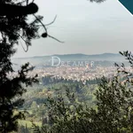 Affitto 20 camera appartamento di 350 m² in Fiesole