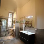 Rent 5 bedroom apartment of 150 m² in Turin