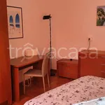 Rent 3 bedroom apartment of 65 m² in Padova