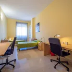 Rent a room of 150 m² in milan