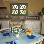 Single family villa via d'Ormicello, Pozzale - Case Nuove, Empoli